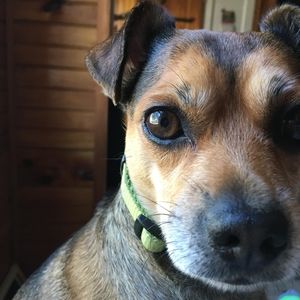 Meet your Posher, Margaret